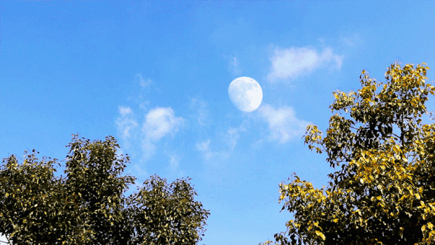 蓝天白云月亮延时GIF图片素材免费下载