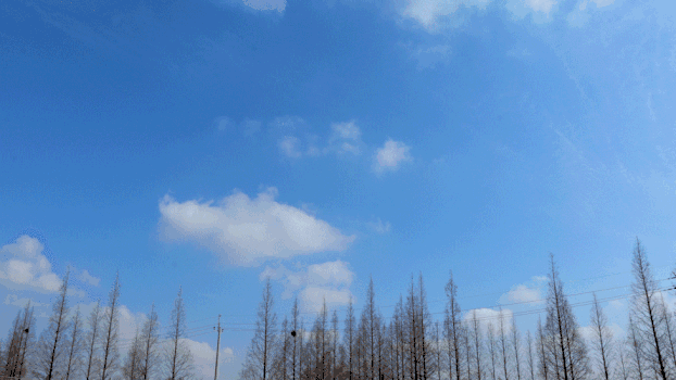 树林自然天空云延时GIF图片素材免费下载