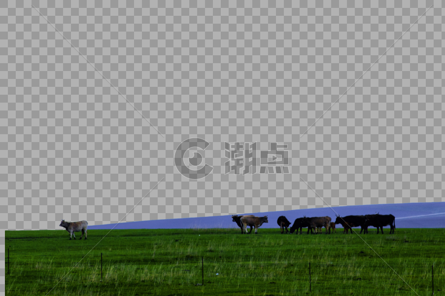 新疆塔城风光牧场图片素材免费下载