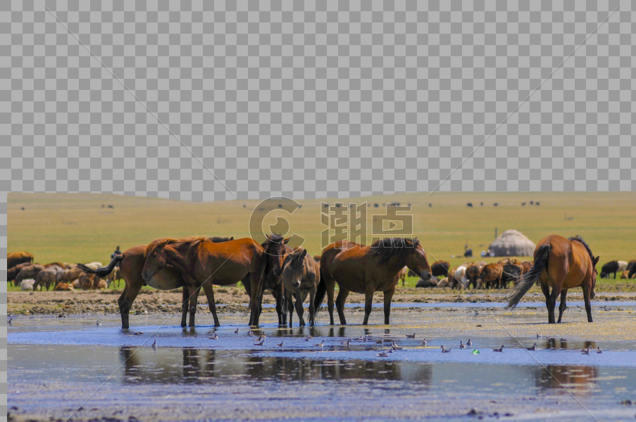 新疆湖泊牧场图片素材免费下载