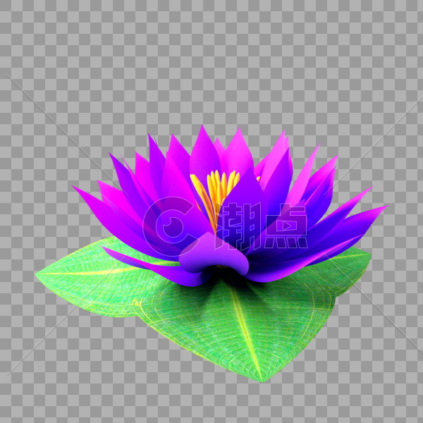 睡莲莲花紫色花朵绿叶图片素材免费下载