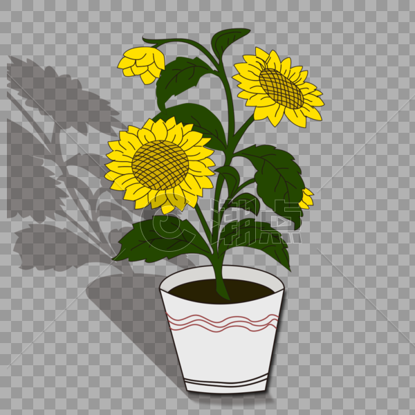 手绘花朵盆栽向日葵图片素材免费下载