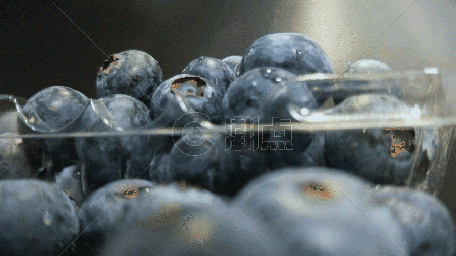 水果蓝莓GIF图片素材免费下载