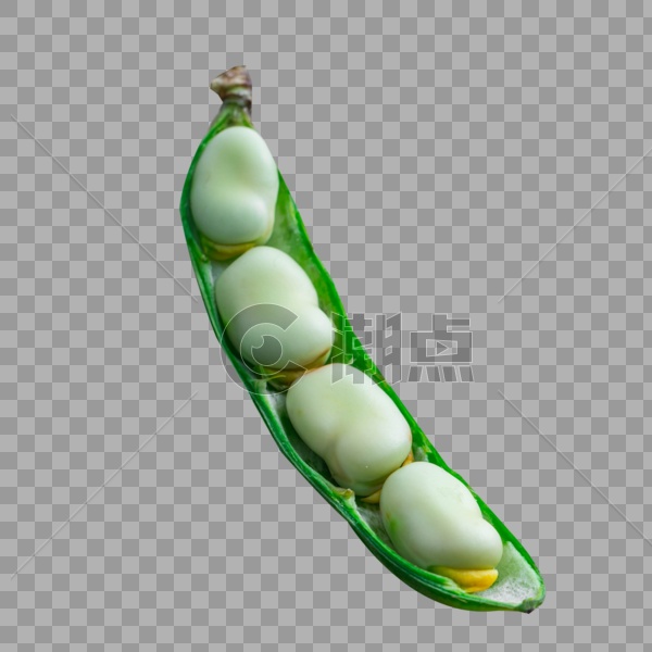 新鲜蔬菜蚕豆图片素材免费下载