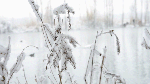 新疆冬季温泉雪景GIF图片素材免费下载