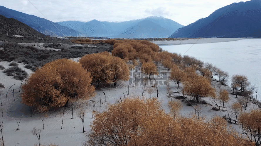 西藏尼洋河高清航拍原始GIF图片素材免费下载