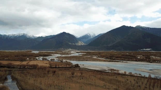 西藏雅鲁藏布大峡谷尼洋河航拍GIF图片素材免费下载