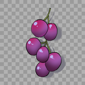 美味的水果紫葡萄图片素材免费下载