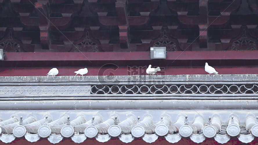 寺院和平鸽GIF图片素材免费下载