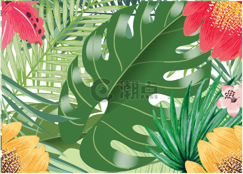 热带花卉背景图片素材免费下载