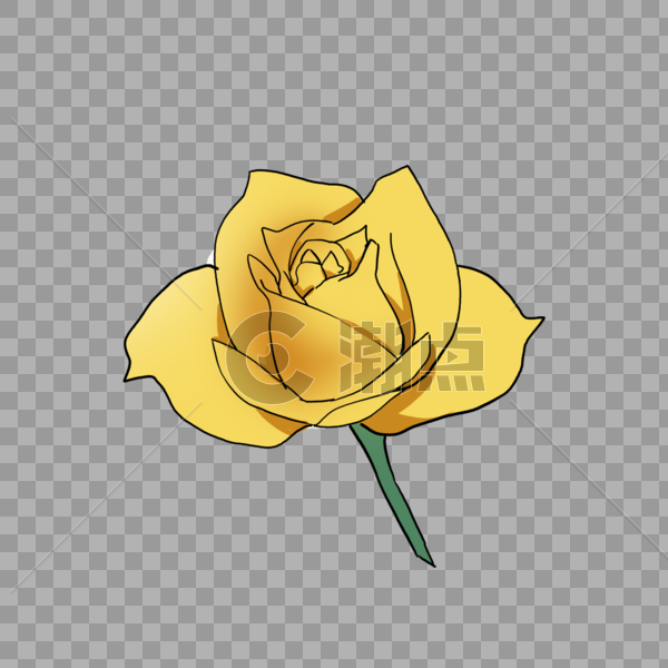 黄色玫瑰花图片素材免费下载