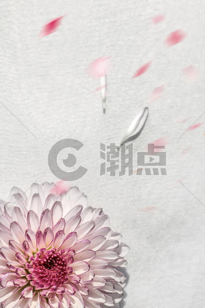 大气花卉背景图片素材免费下载