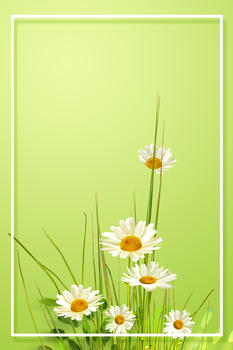 绿色清新鲜花背景图片素材免费下载