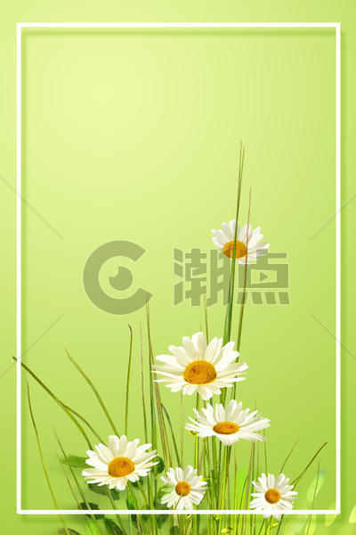 绿色清新鲜花背景图片素材免费下载