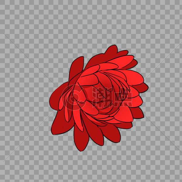 美丽的红色花朵图片素材免费下载