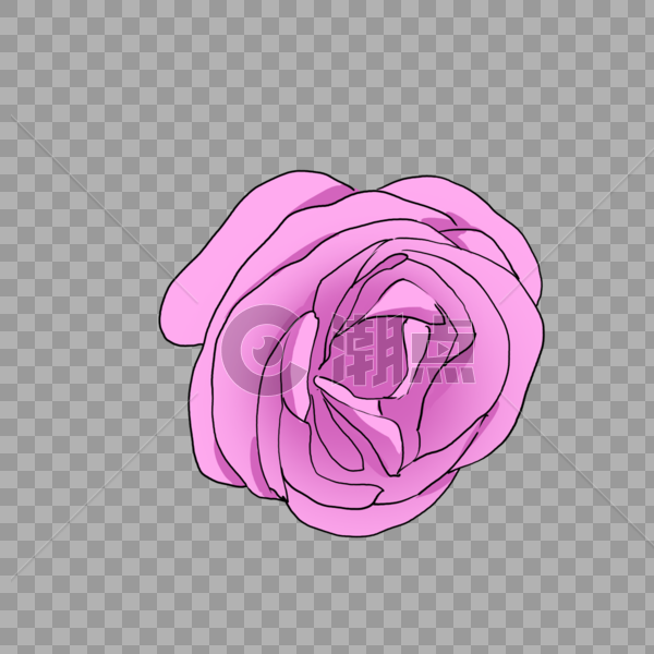 鲜艳的深粉色玫瑰花图片素材免费下载