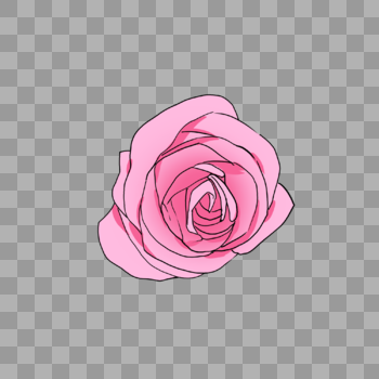 鲜艳的淡粉色的玫瑰图片素材免费下载