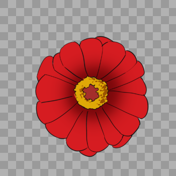 好看的红色花朵图片素材免费下载