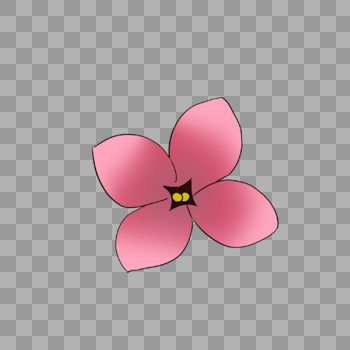 好看的淡粉色花朵图片素材免费下载