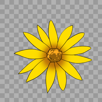 漂亮的黄色花朵图片素材免费下载