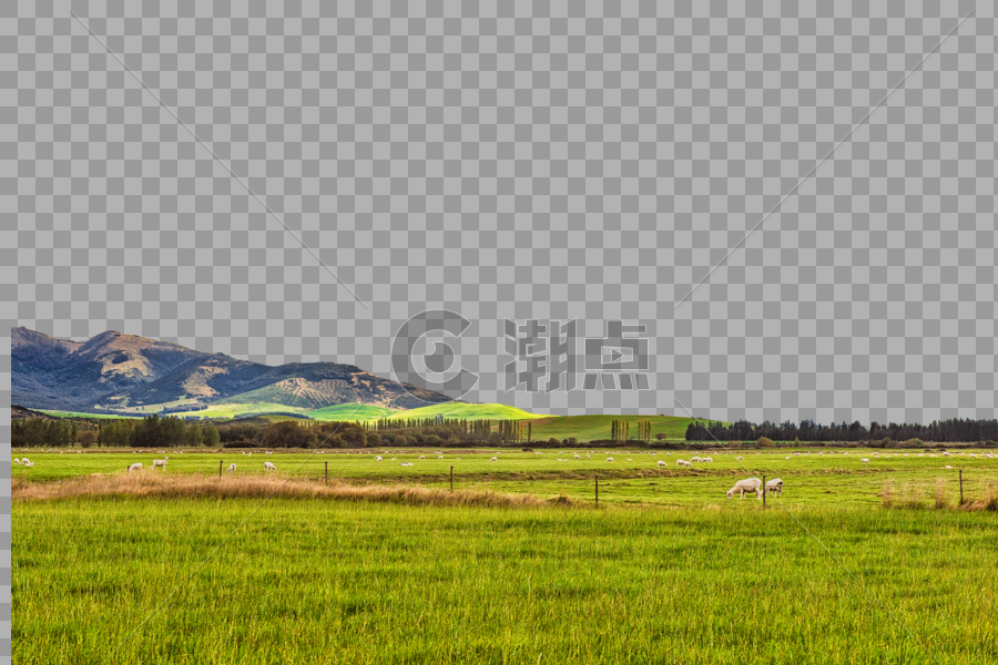 新西兰牧场风光图片素材免费下载