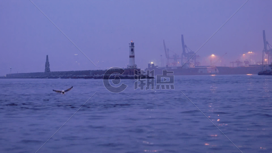 夜幕平静港口海鸥飞翔GIF图片素材免费下载