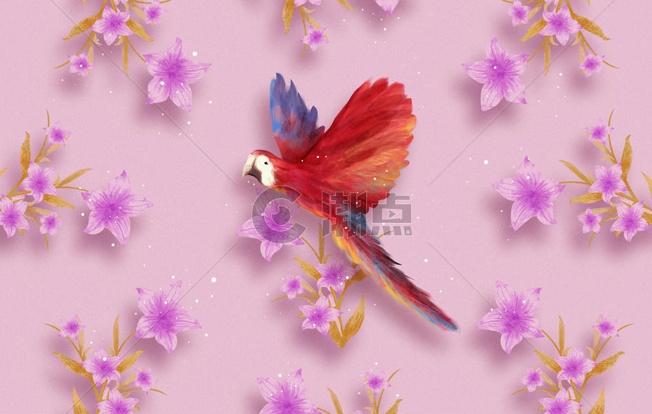 鹦鹉花卉背景插画图片素材免费下载