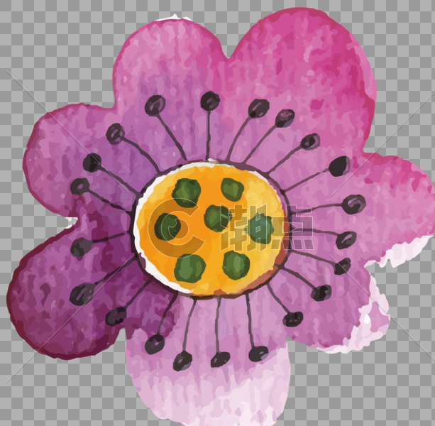 水彩 素材 花朵图片素材免费下载