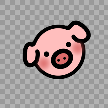 猪猪图片素材免费下载