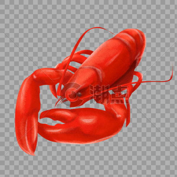 鲜艳的大龙虾红色海鲜图片素材免费下载
