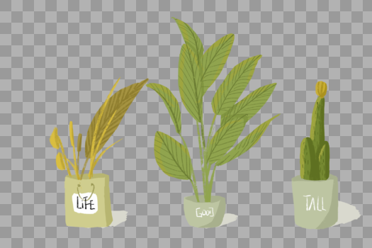 纸袋植物阔叶植物和仙人掌图片素材免费下载