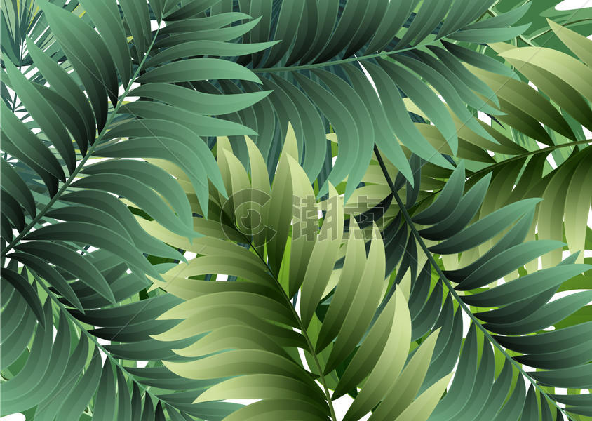 绿色植物插画图片素材免费下载