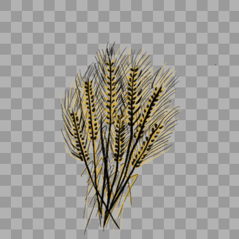 成熟的麦子创意插图图片素材免费下载