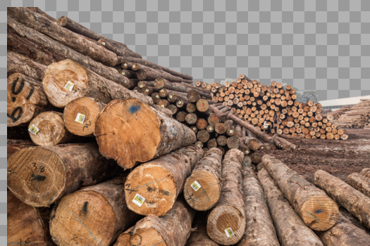 伐木场素材背景图片素材免费下载