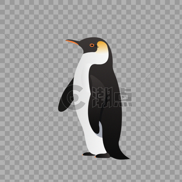 南极企鹅矢量插画图片素材免费下载