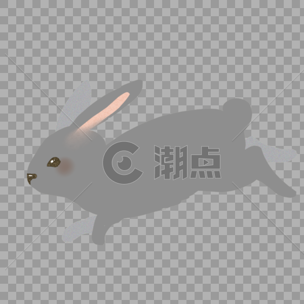 灰色动物小兔子图片素材免费下载