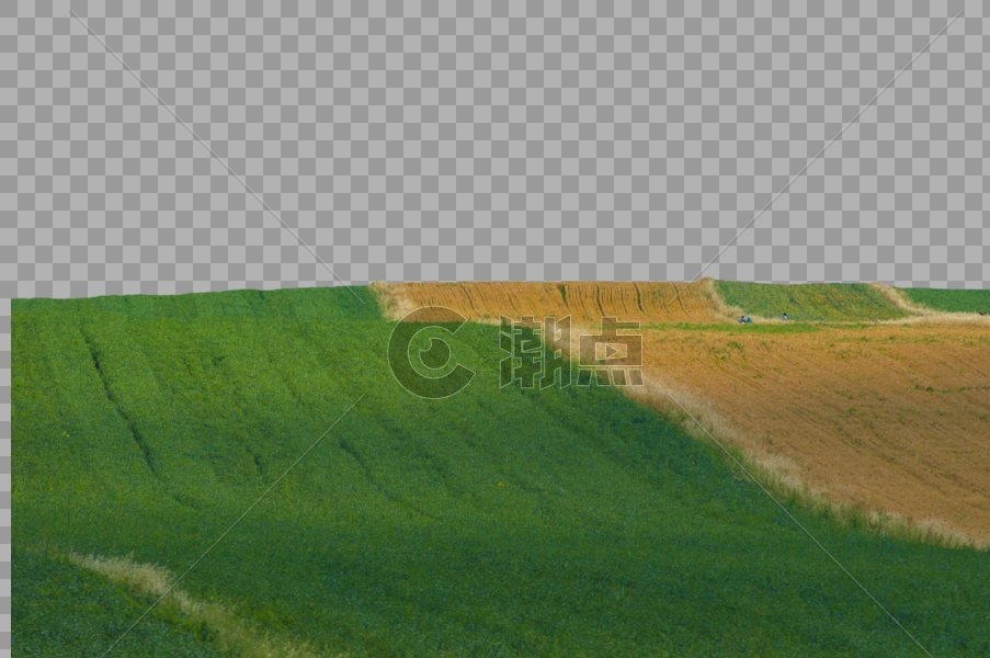 新疆农业多元化素材图片素材免费下载