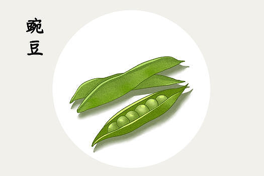豌豆插画图片素材免费下载
