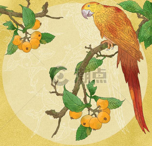 中国风古风花鸟工笔花卉鹦鹉枇杷图图片素材免费下载