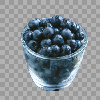 小暑蓝莓图片素材免费下载