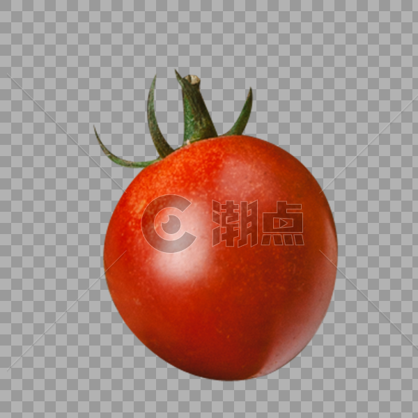 西红柿图片素材免费下载