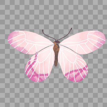 粉色花纹蝴蝶渐变手绘装饰图案图片素材免费下载