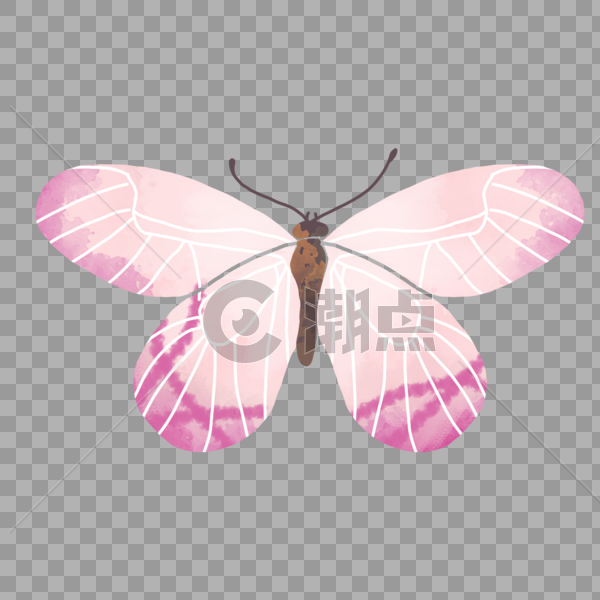 粉色花纹蝴蝶渐变手绘装饰图案图片素材免费下载