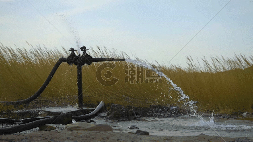 新疆水资源戈壁湿地植被芦苇日落GIF图片素材免费下载