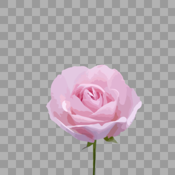 粉红玫瑰图片素材免费下载