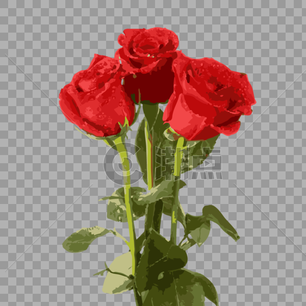红玫瑰图片素材免费下载