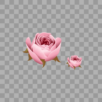 玫瑰花装饰素材图案图片素材免费下载