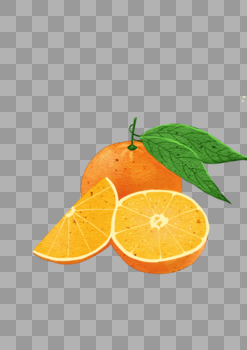 手绘水果橙子图片素材免费下载