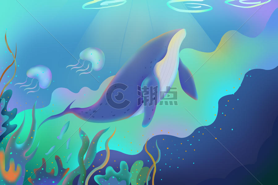 海底海豚水草图片素材免费下载