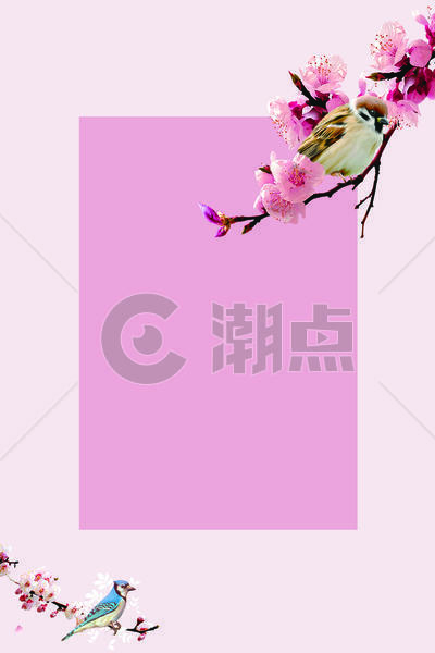 粉色春天背景图片素材免费下载